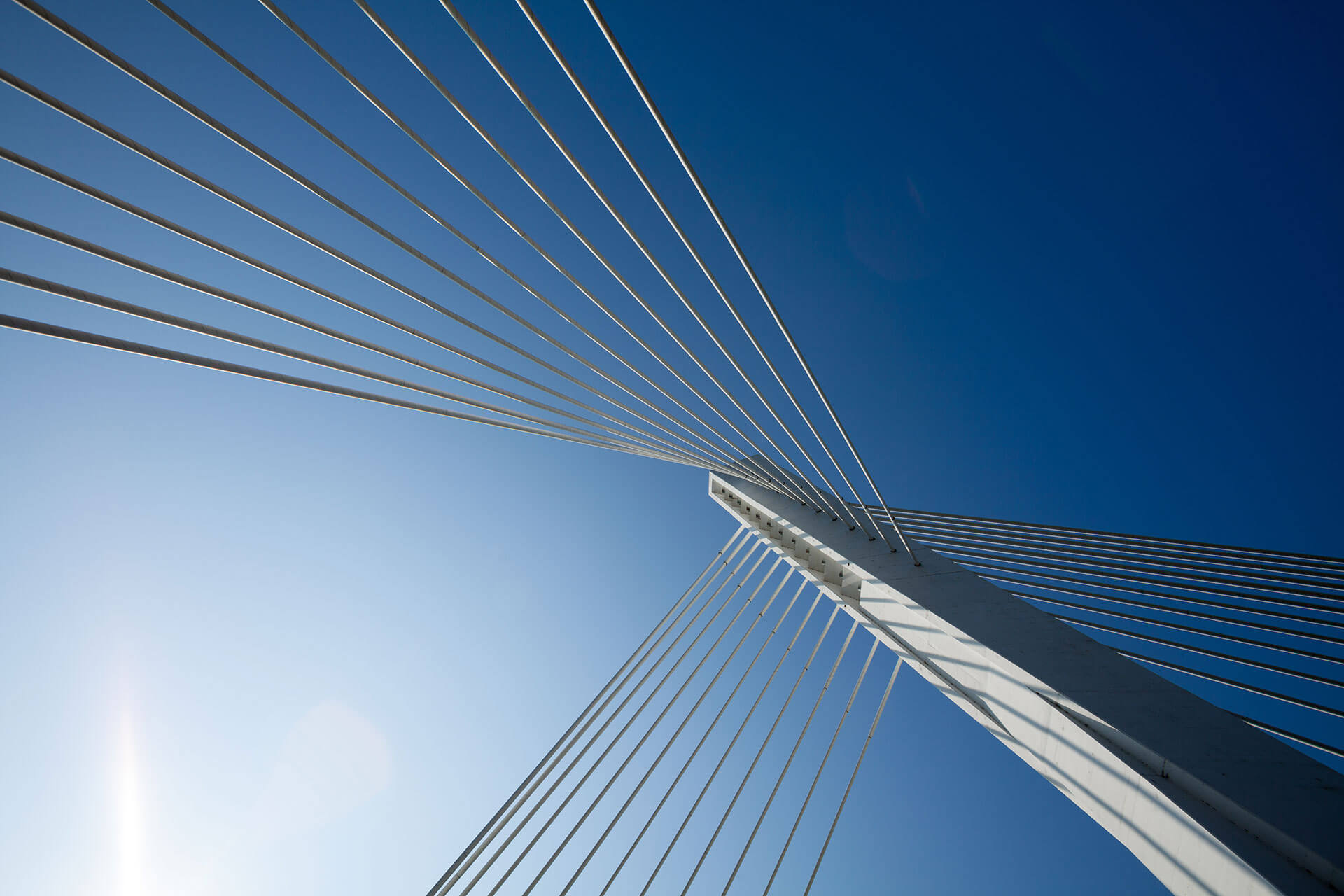 Looking up at bridge cables